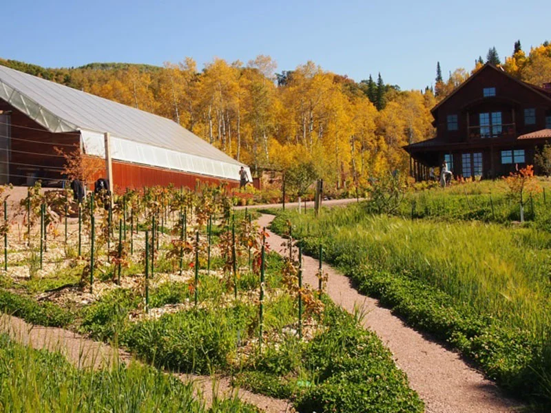 Elkstone High-Altitude Permaculture Garden