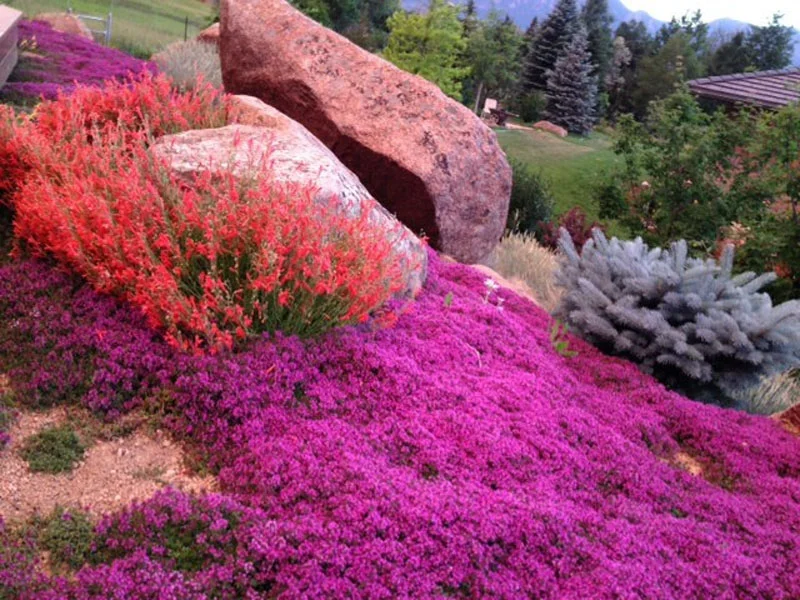 Prairie Boulder Garden