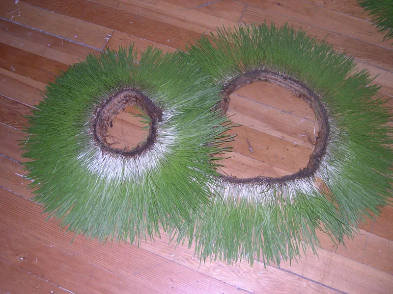 20 installation-grass-tulle 2005 6.jpg