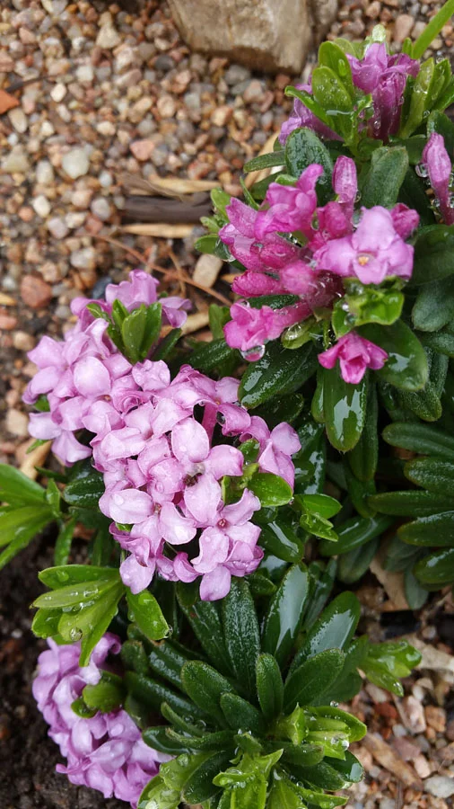 2017-04-01 10.44.01.jpg