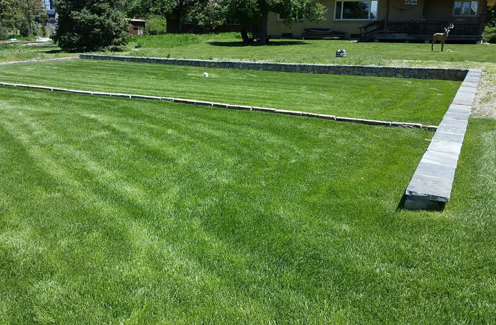 20170524_125307.jpg