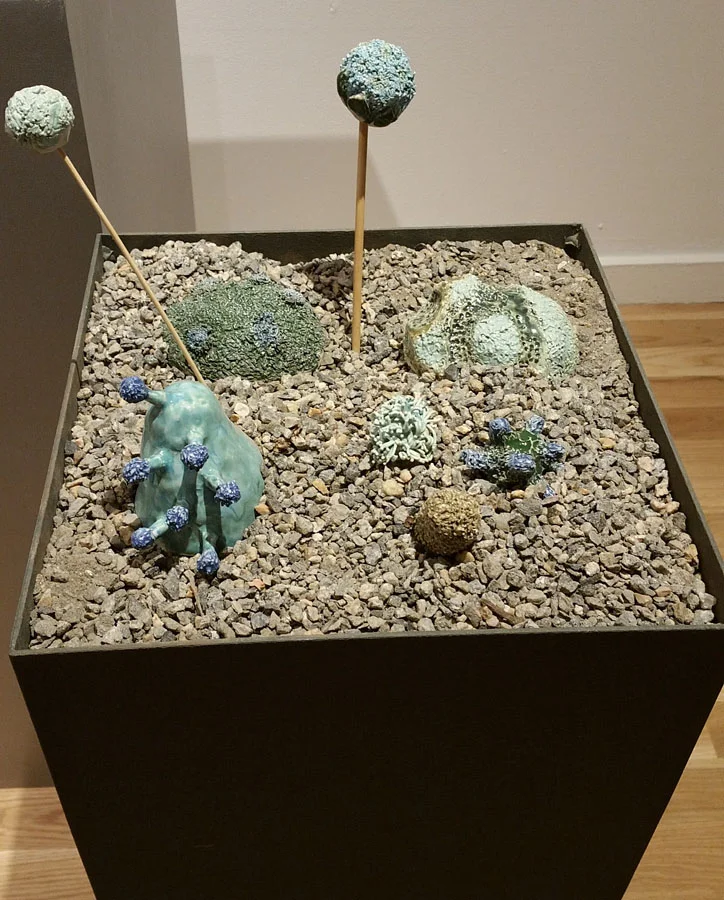 2016-10-12 12.02.09.jpg