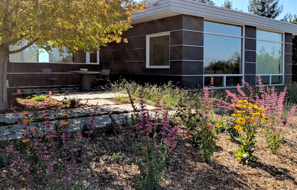 MVIMG_20180924_144538.jpg