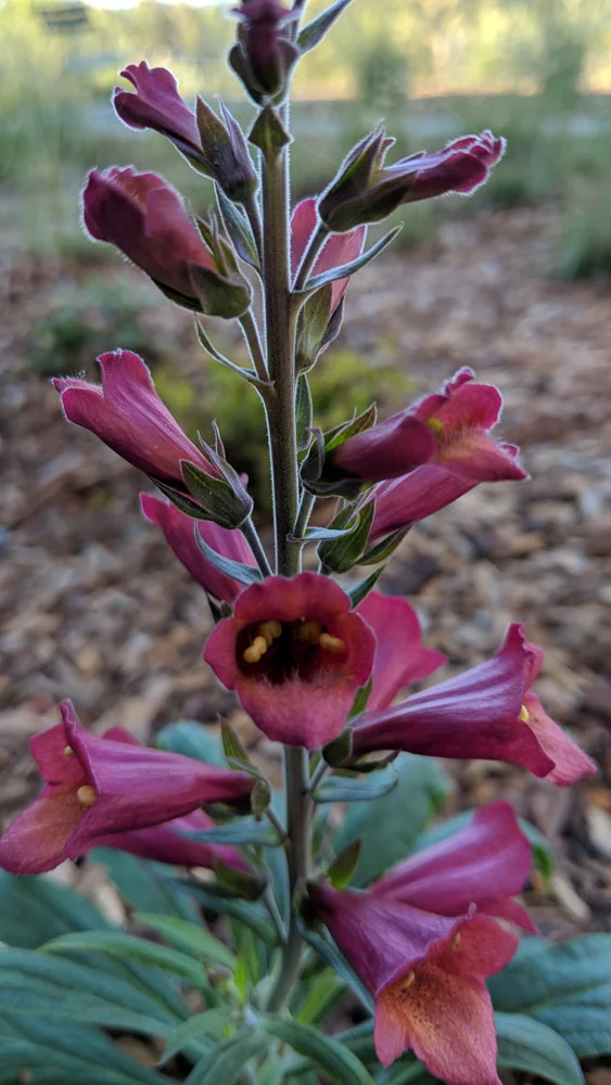 MVIMG_20180924_154103.jpg