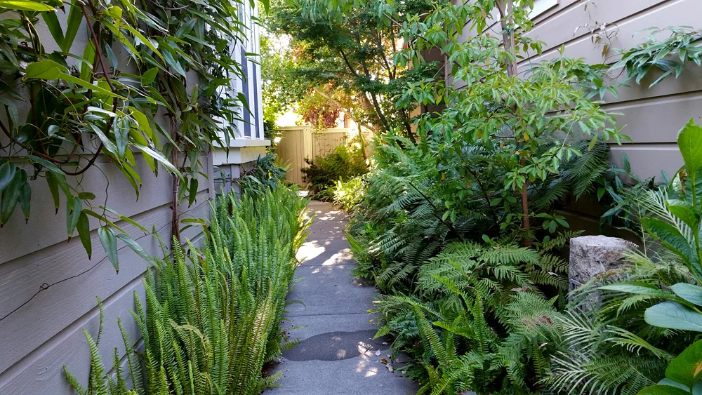 20170707_081921.jpg