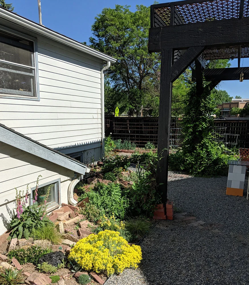 MVIMG_20180605_093401-crop.jpg