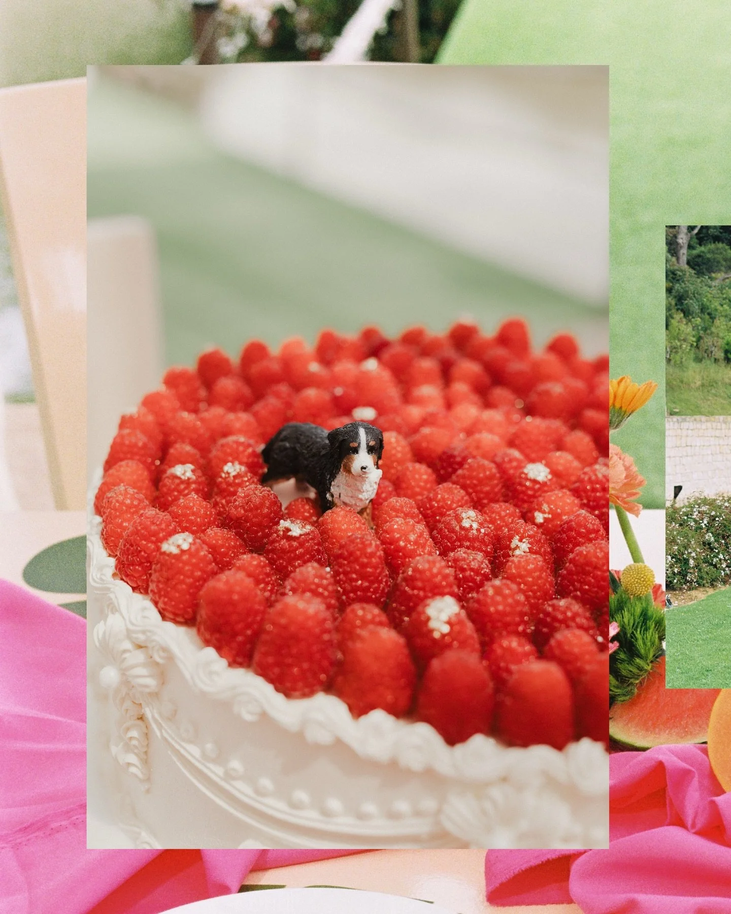 Comenzando mi a&ntilde;o con este post colorido fuerte y gigante, aprovechando las pol&eacute;micas con los robots, este post es una mezcla de foto digital y foto qu&iacute;mica. Pau &amp; Andr&eacute;s me escogieron para hacer una sesi&oacute;n y el