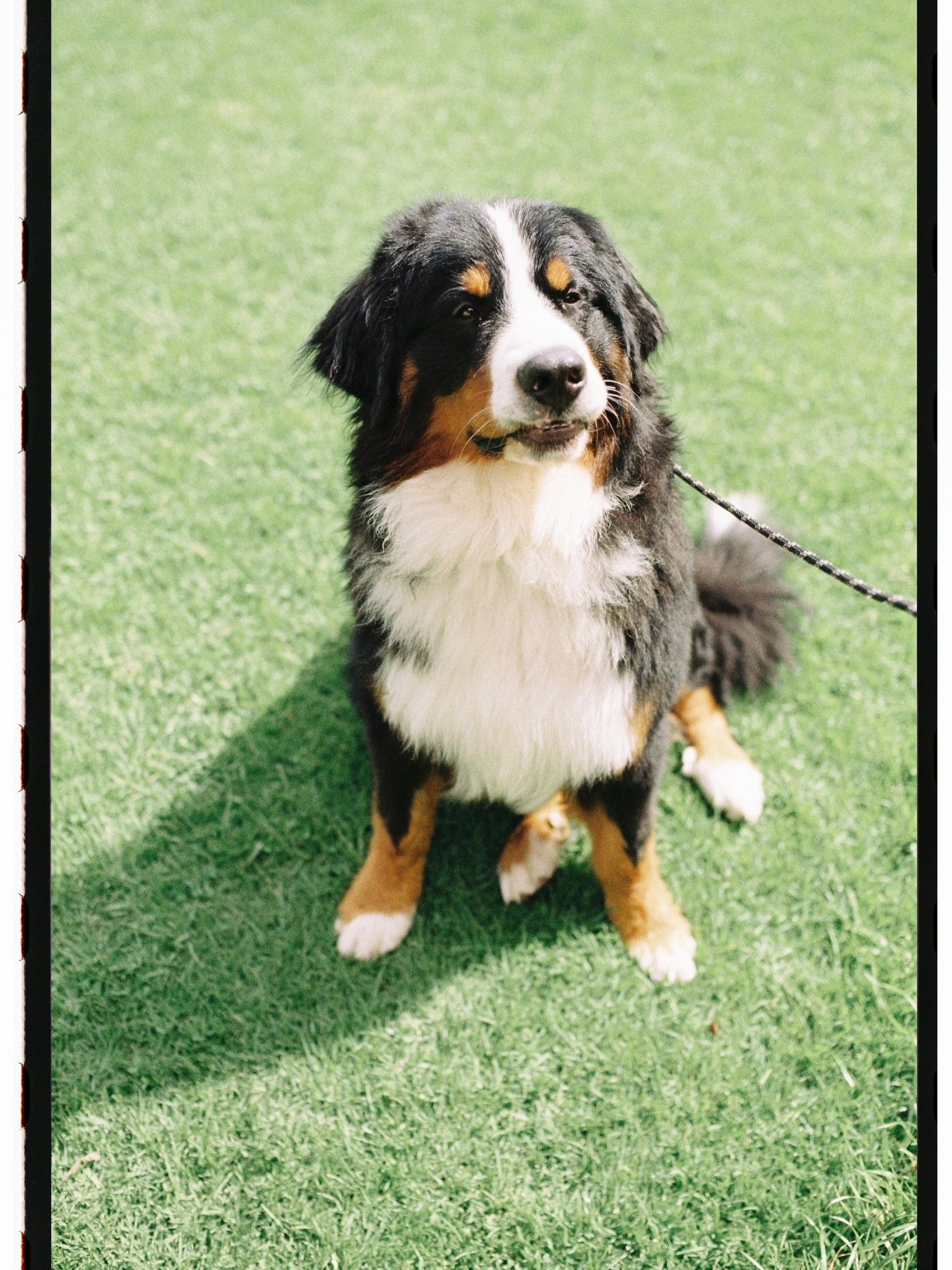 El Vol.4 de Pau &amp; Andr&eacute;s viene en post despu&eacute;s de mucho tiempo sin publicar, ac&aacute; unas en filmsito con estos tres personajes, el primero el modelo m&aacute;s dif&iacute;cil !! Pau y Andr&eacute;s bien bonitos para renovar sus 