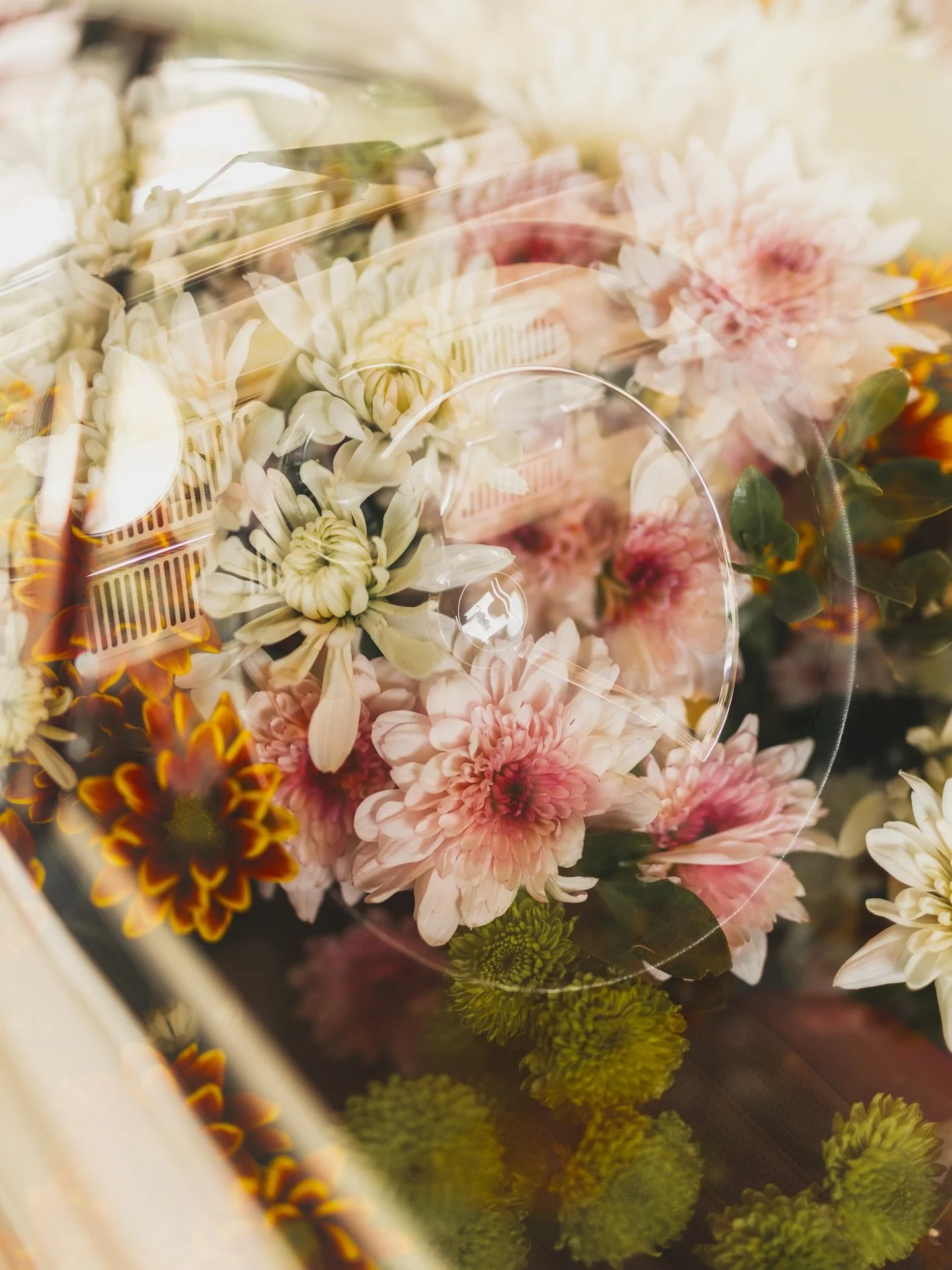 Me encanta estar en los c&iacute;rculos alejados del algortimo , de alguna forma se siente liberador no tener que ser viral, algo asi como llegar a un pueblito poco sonado pero encontrar algun lugarcito especial y &uacute;nico, asi me siento y lo cel