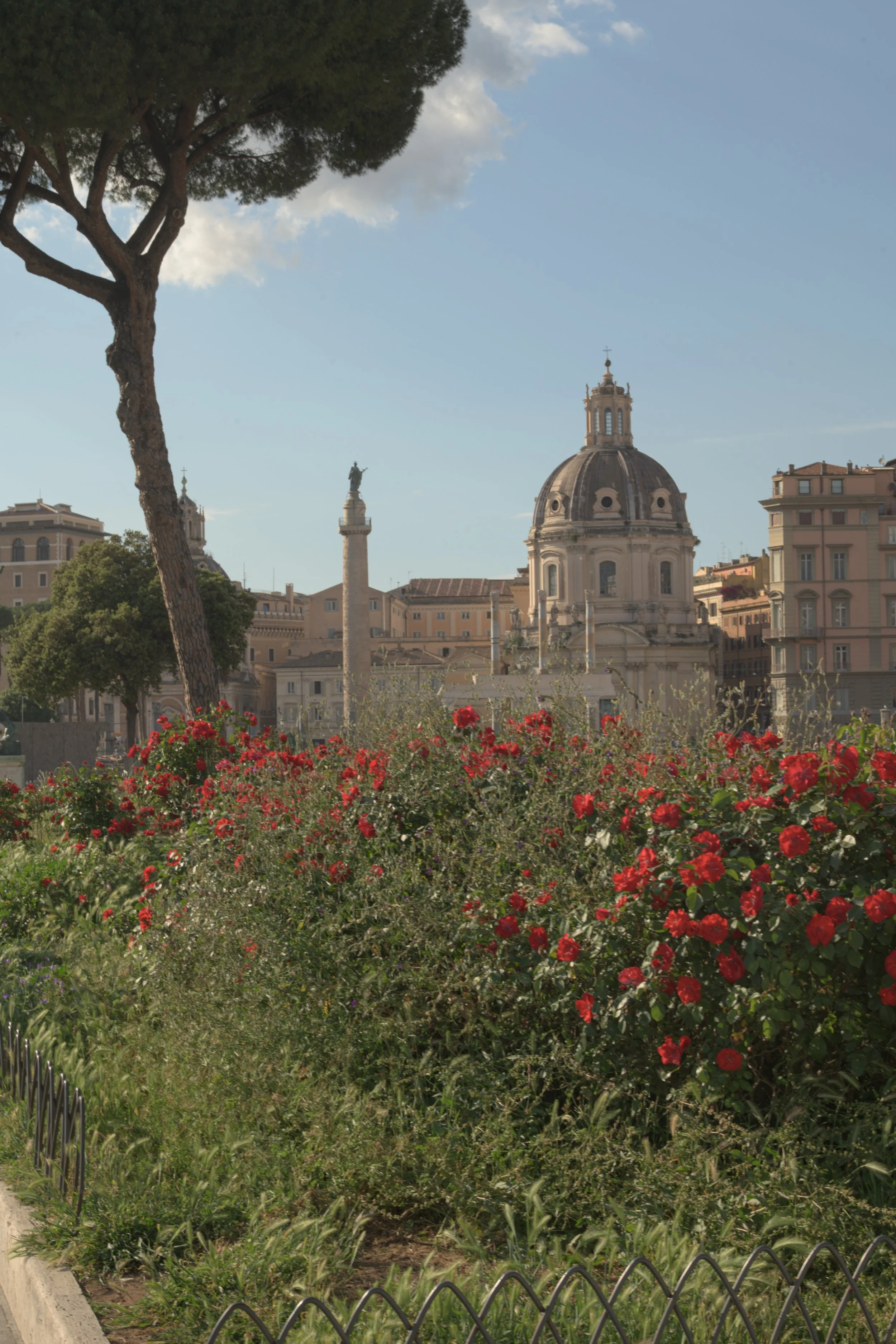 Italia 263.jpg