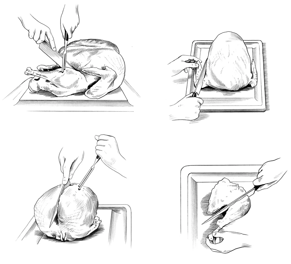 HOW TO CARVE A TURKEY &nbsp;Bon Appetit