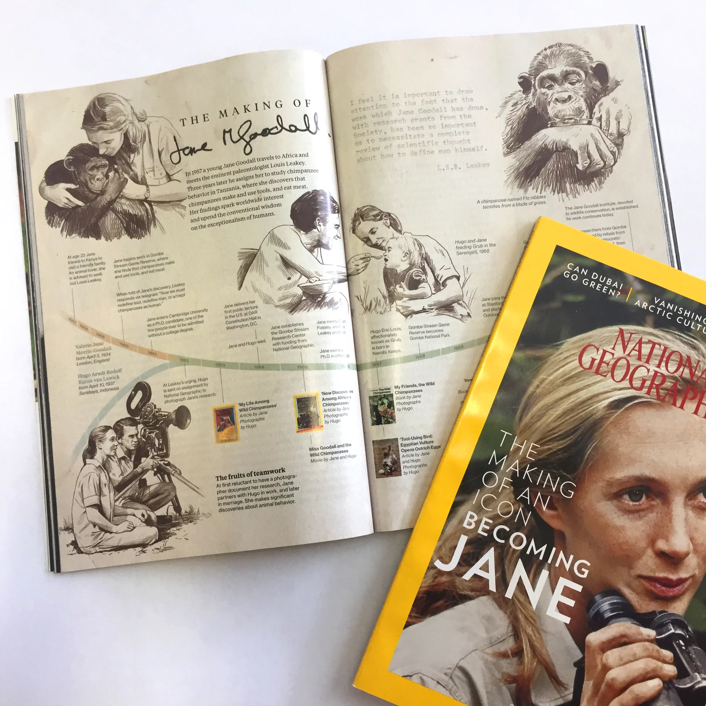 NatGeo.jpg