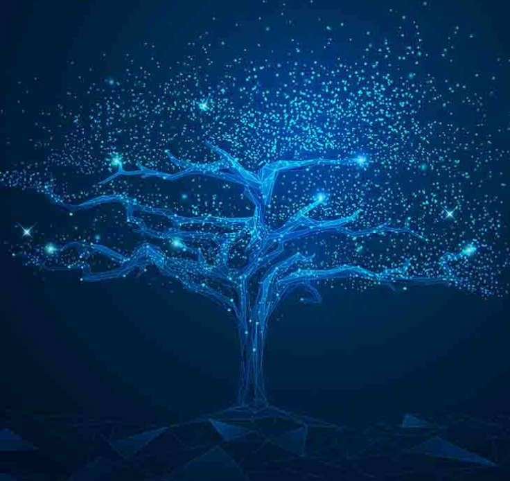 Systems Change: Making the Aspirational Actionable 