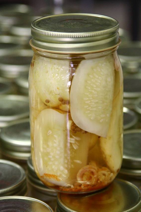 Jar of Pickles - Five Points Holistic Health