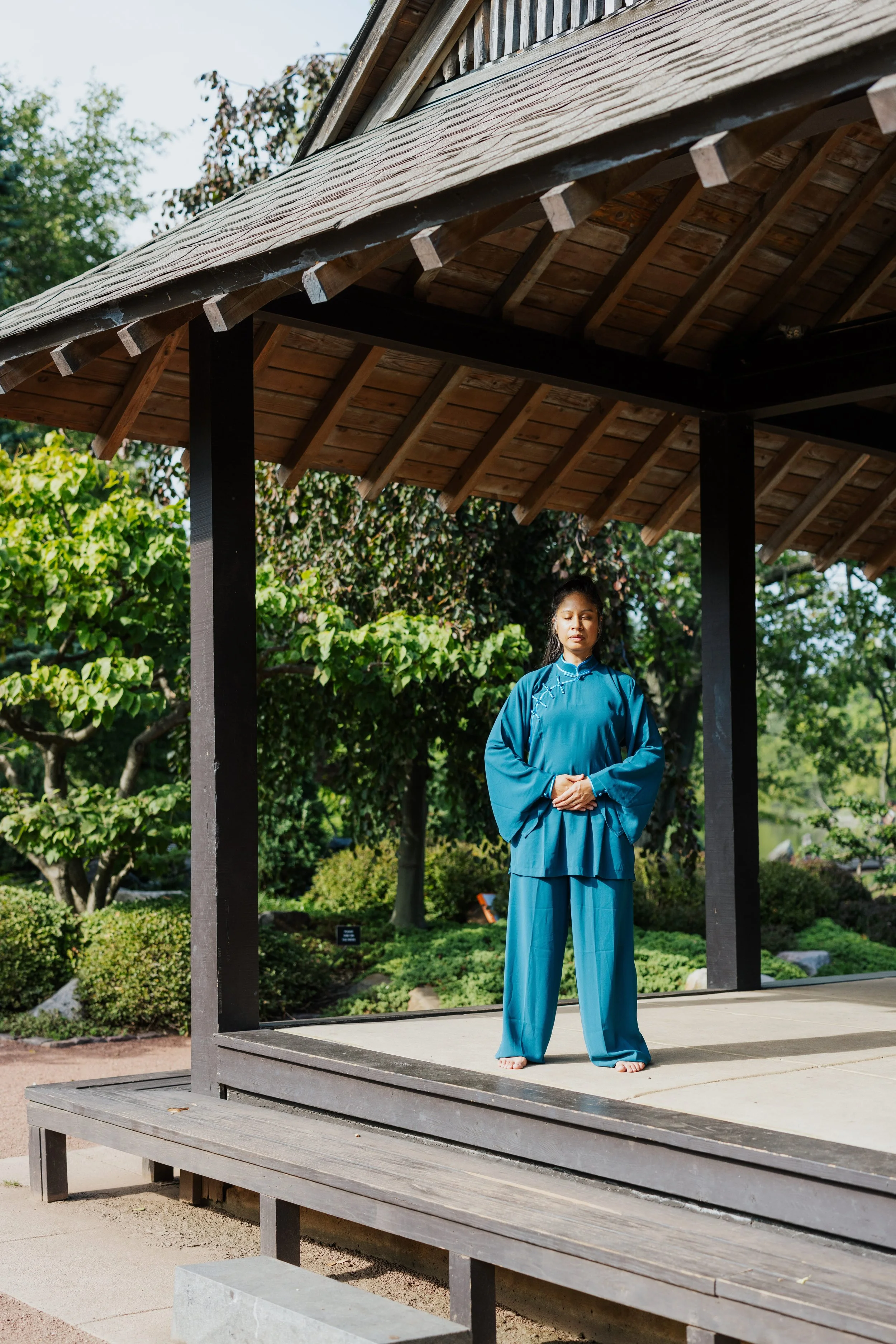 The Art of Medical Qi Gong&nbsp;WINTER SERIES