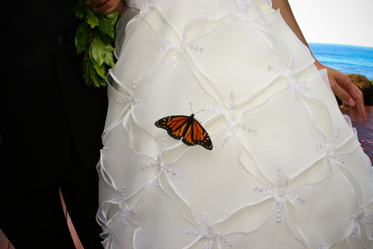 MikeAdrian_Wedding-Dress.jpg