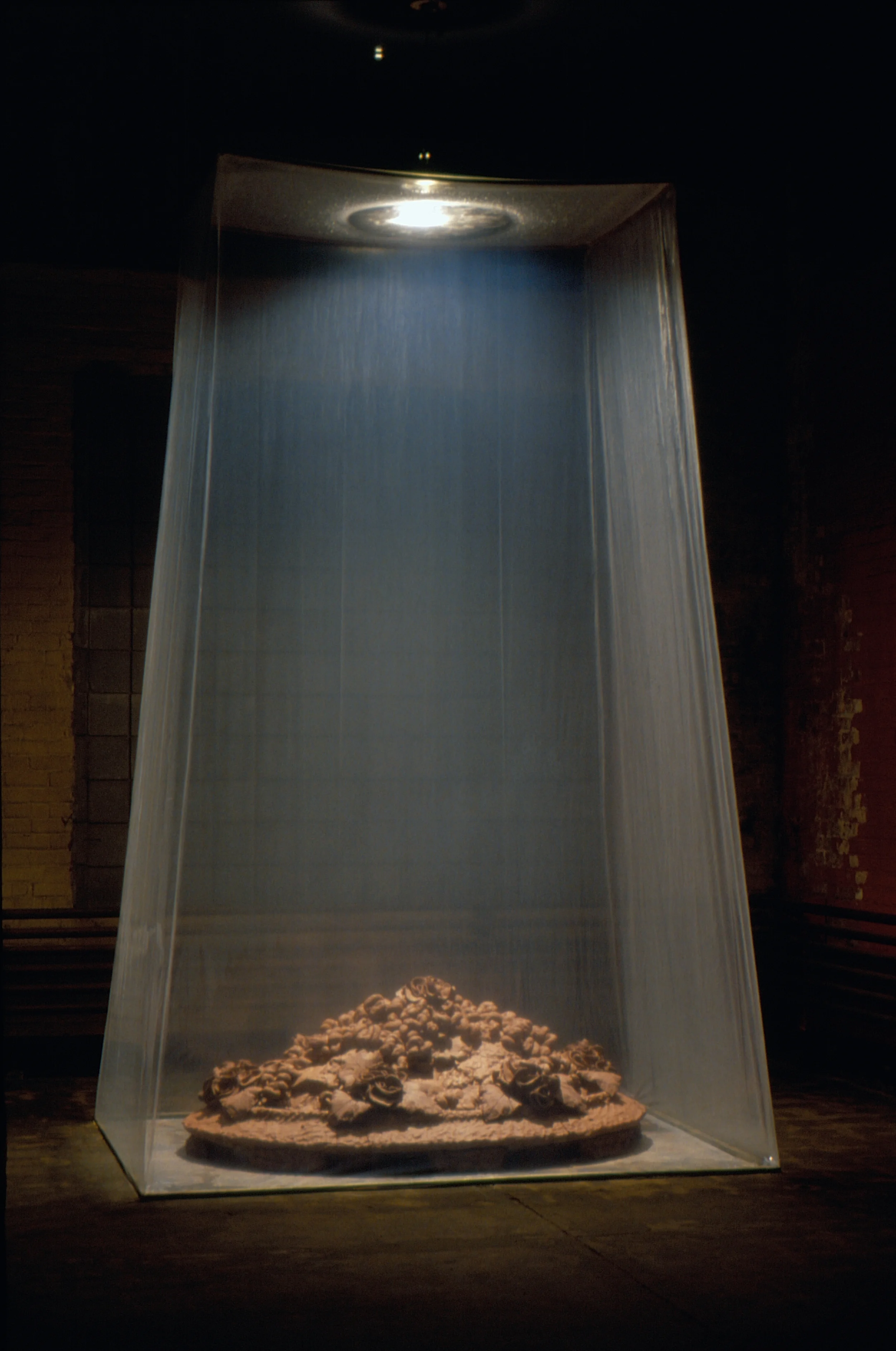 Fecundity in Absence, 1995