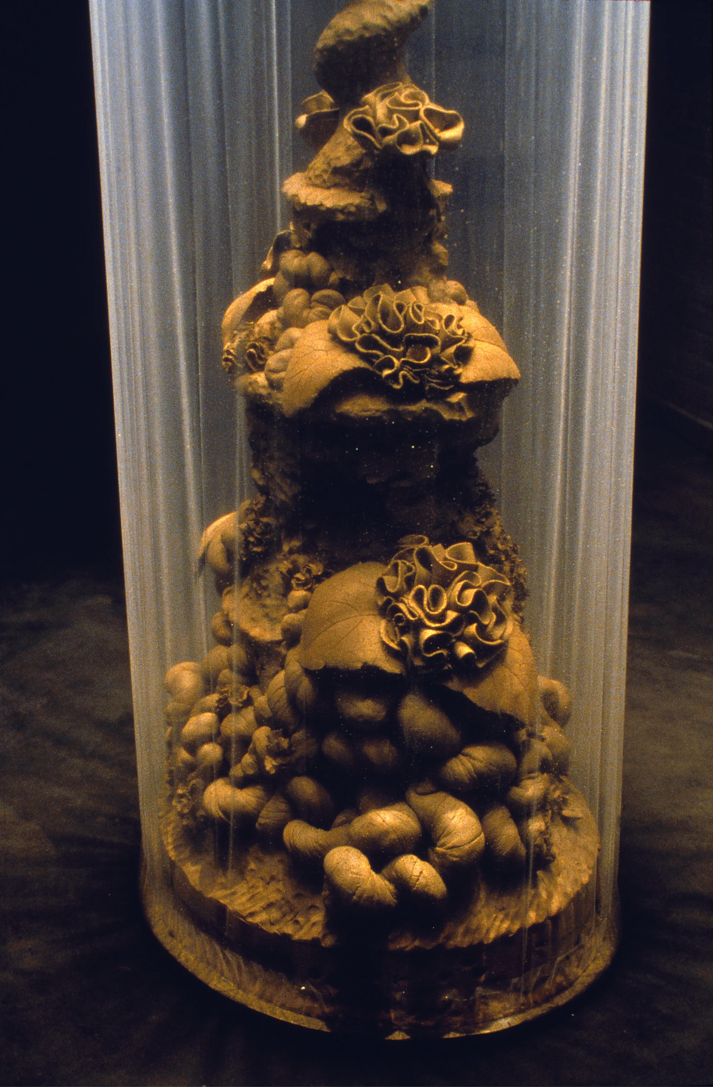 Topiary, 1999 (detail)