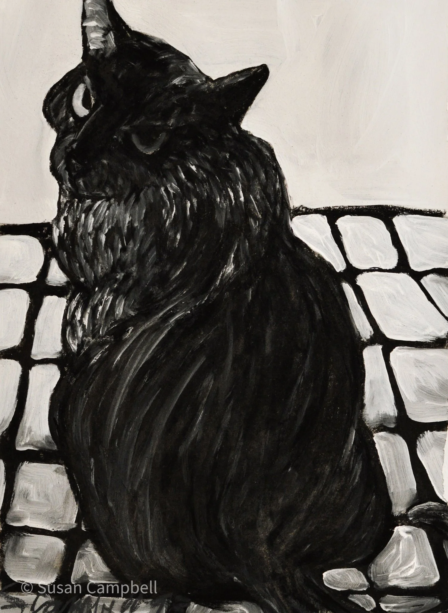 sheba, over-shoulder-13x9 1_2.jpg