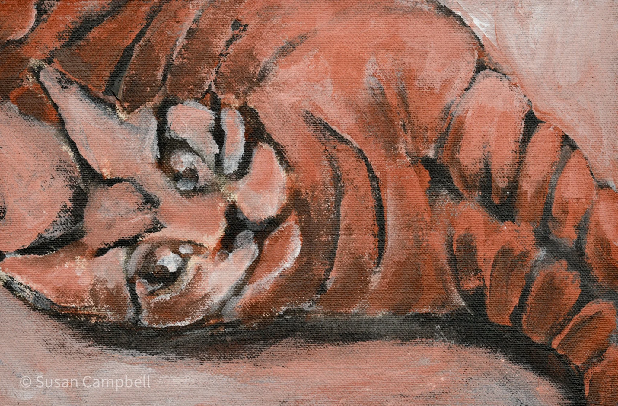 Stripe Stretch 10x7.jpg