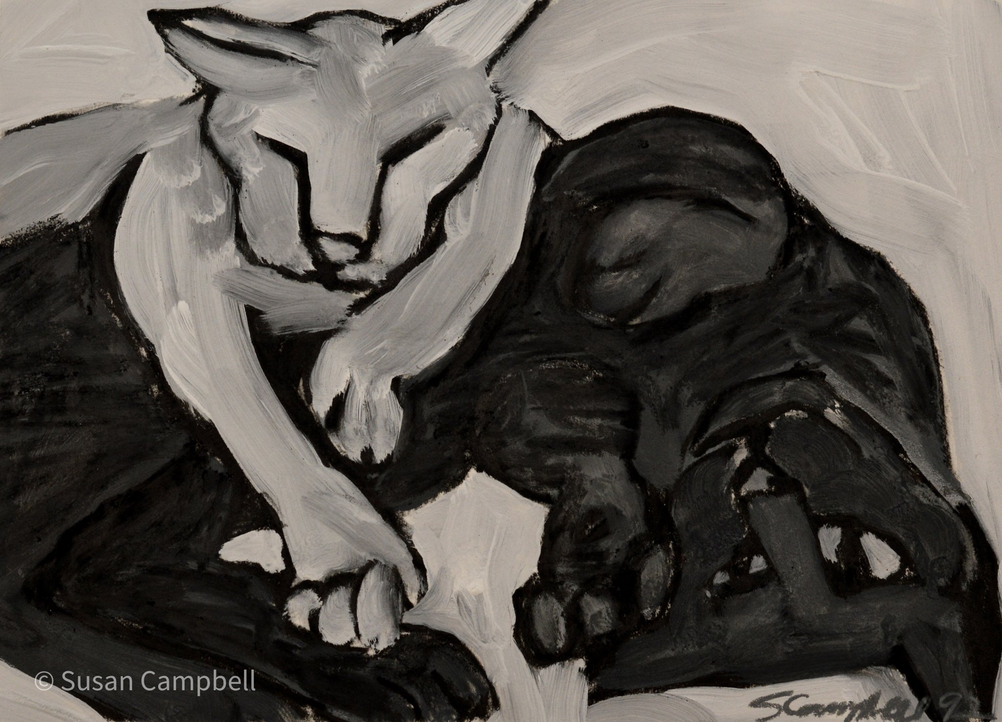 white cat over black, upside down-8x11.jpg