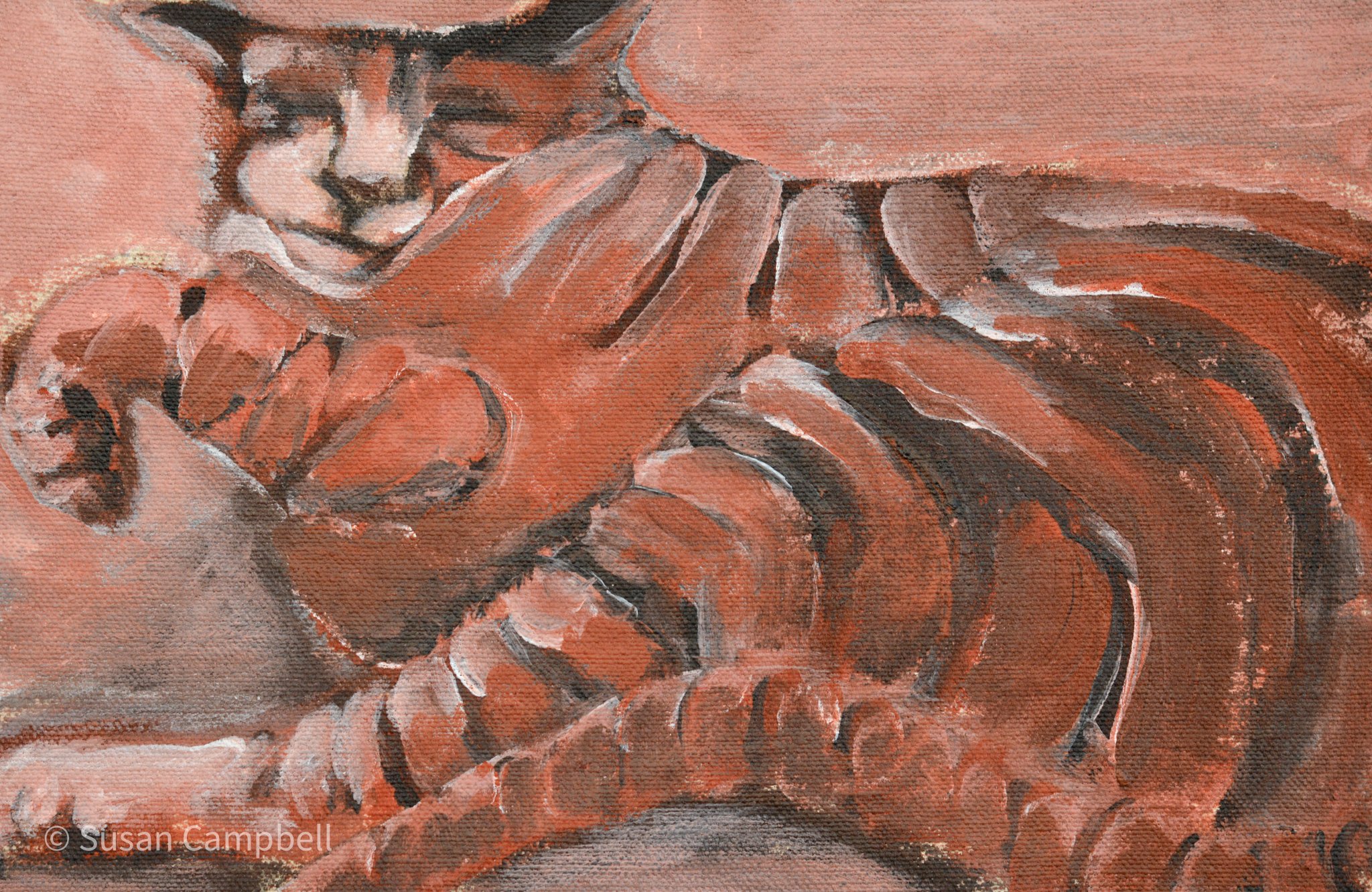 Close-up Thigh 10x7.jpg