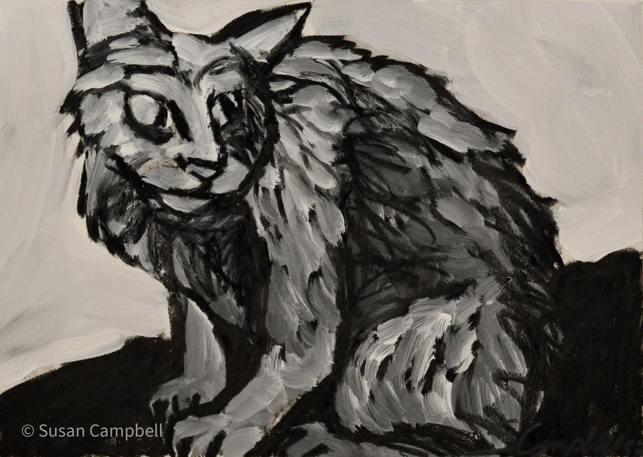 shaggy,hunkered down cat-8x11.jpg