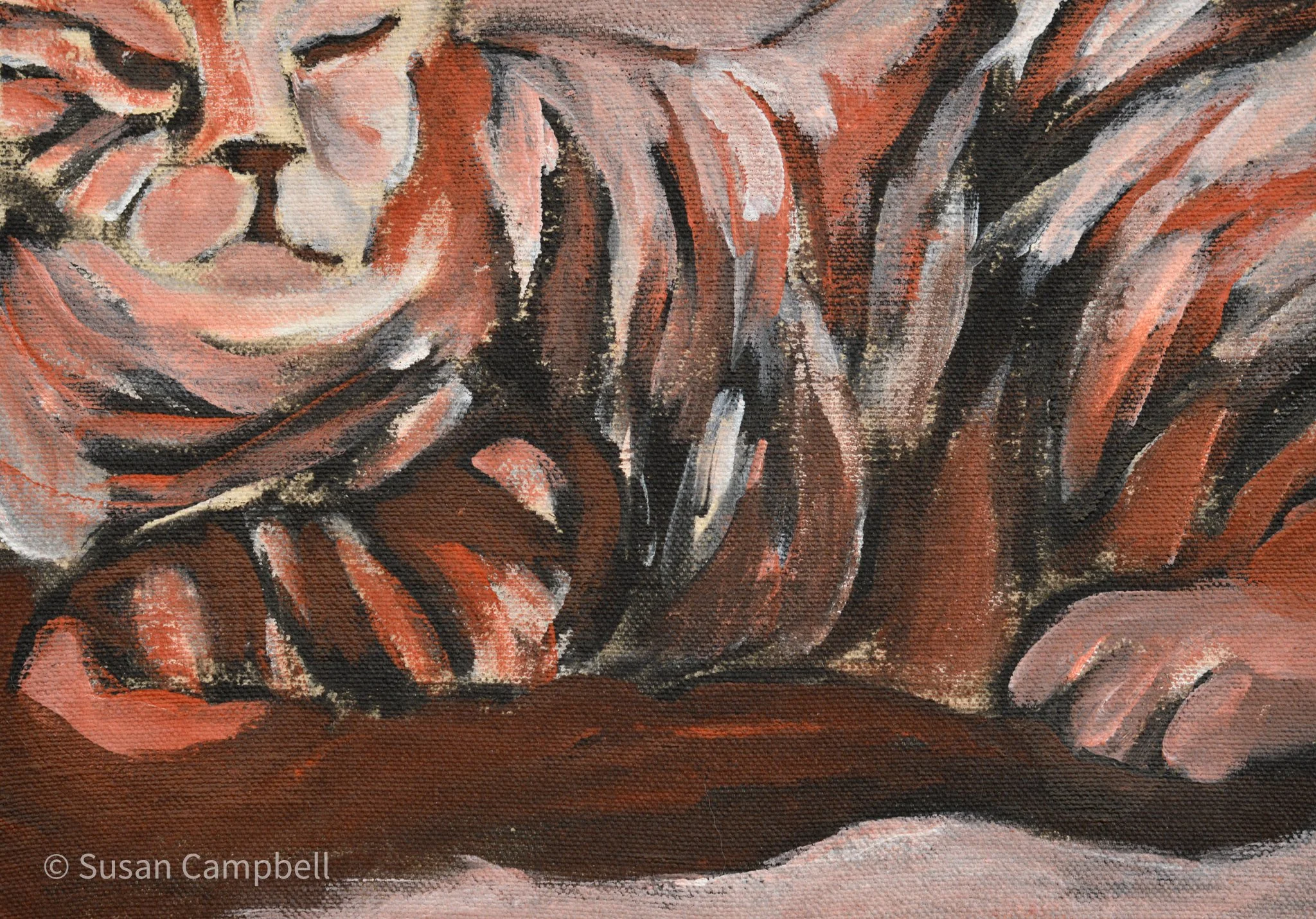 Close-up Stripes 10x7.jpg