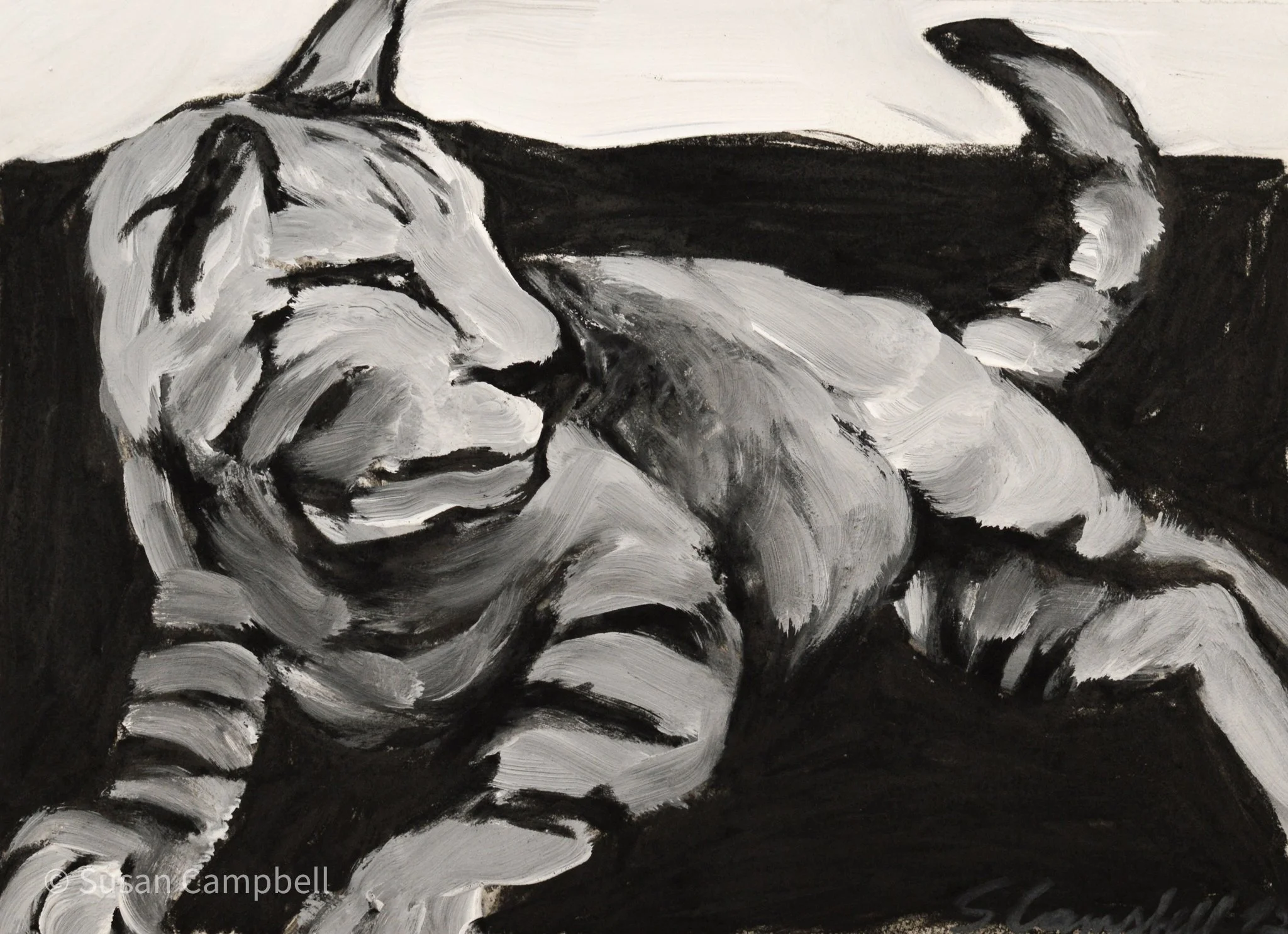 tiger lounging-8x11.jpg
