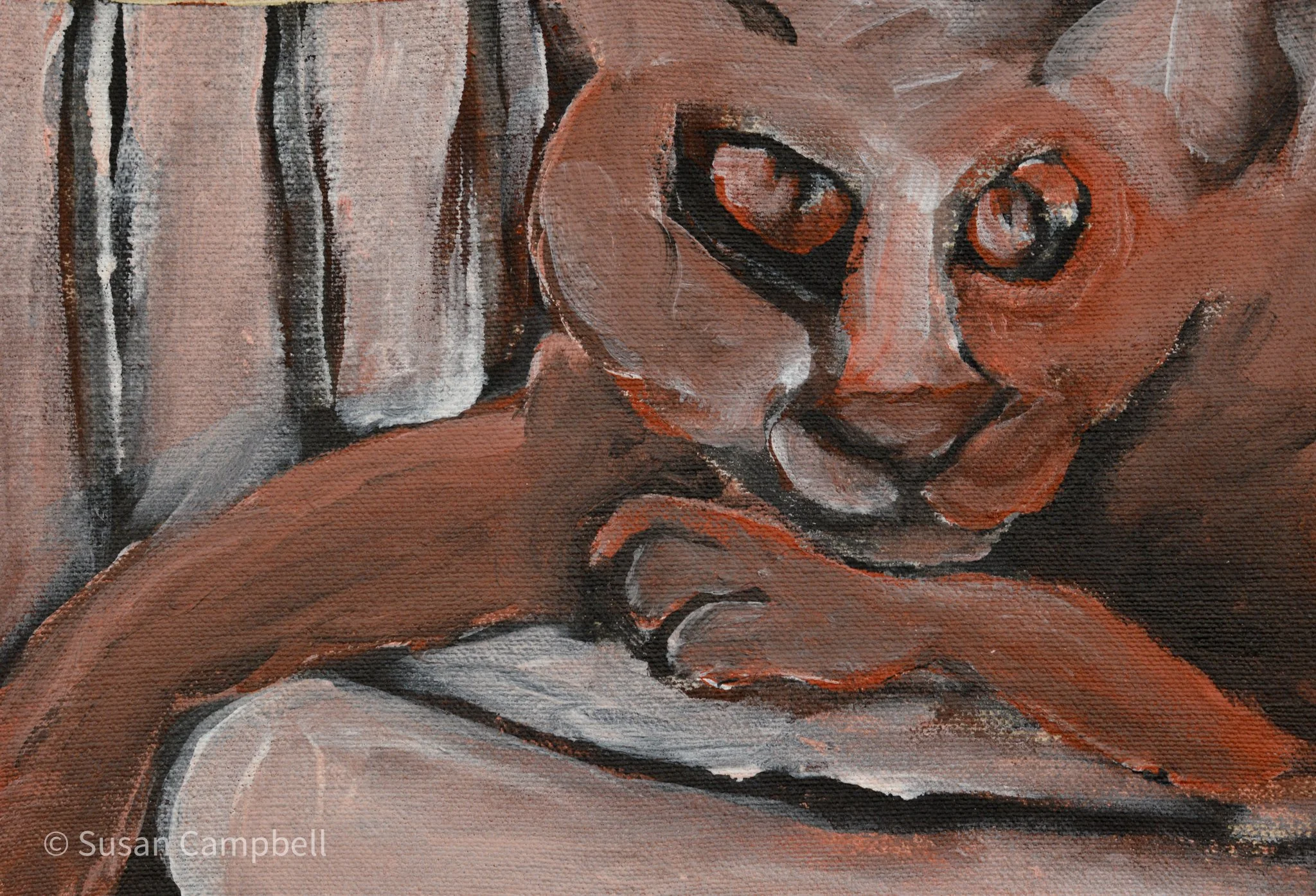 Close-up Cushion 10x7.jpg