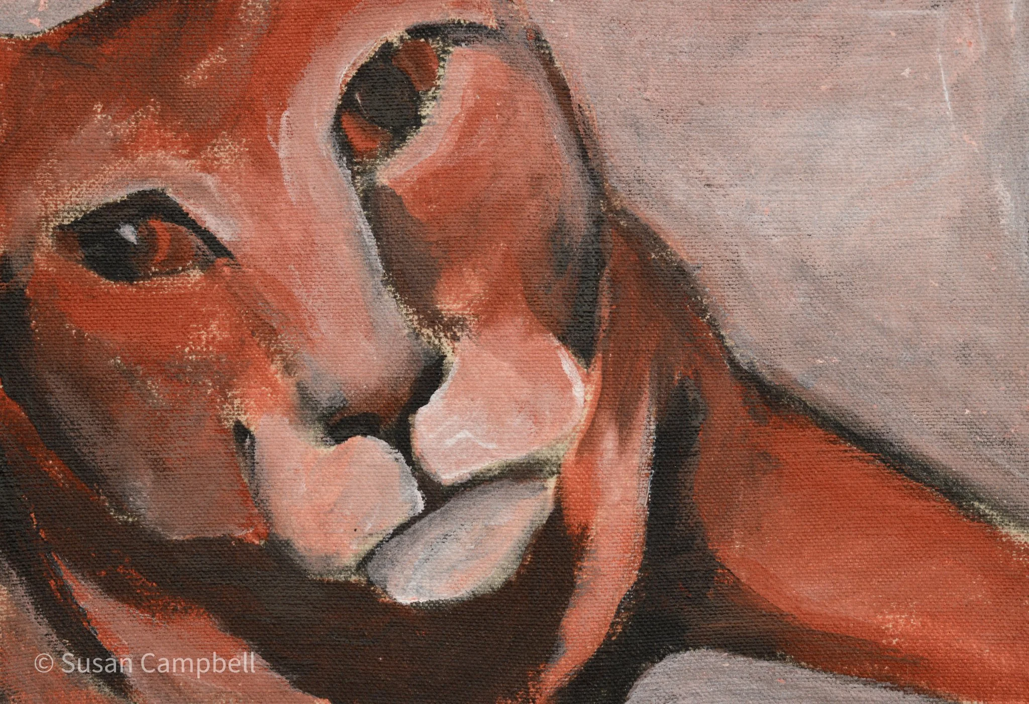 Close-up Cheeks 10x7.jpg