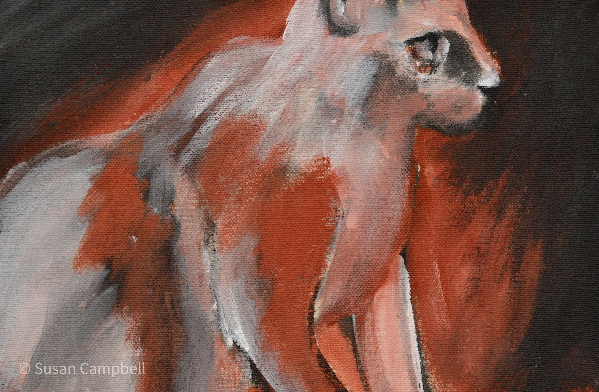 Look to Right 10x7.jpg