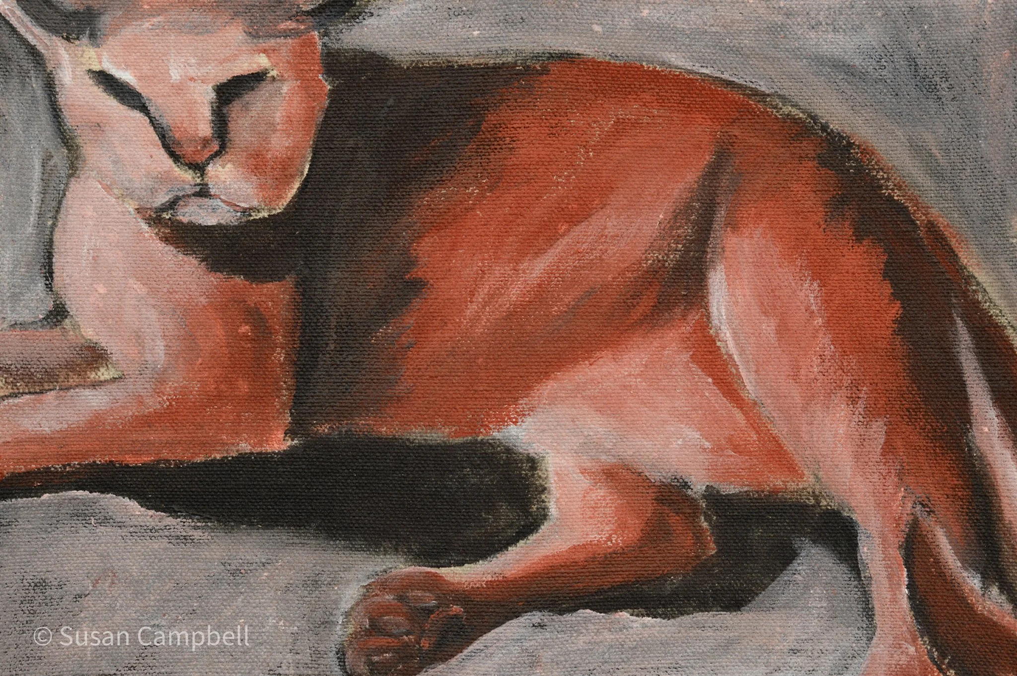 Half Asleep 10x7.jpg