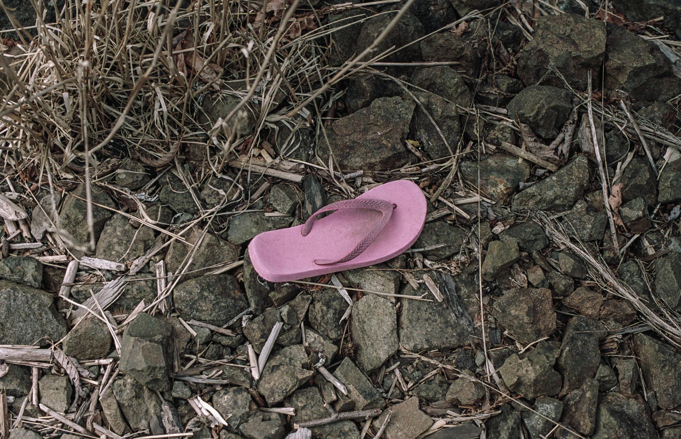 09.jpg