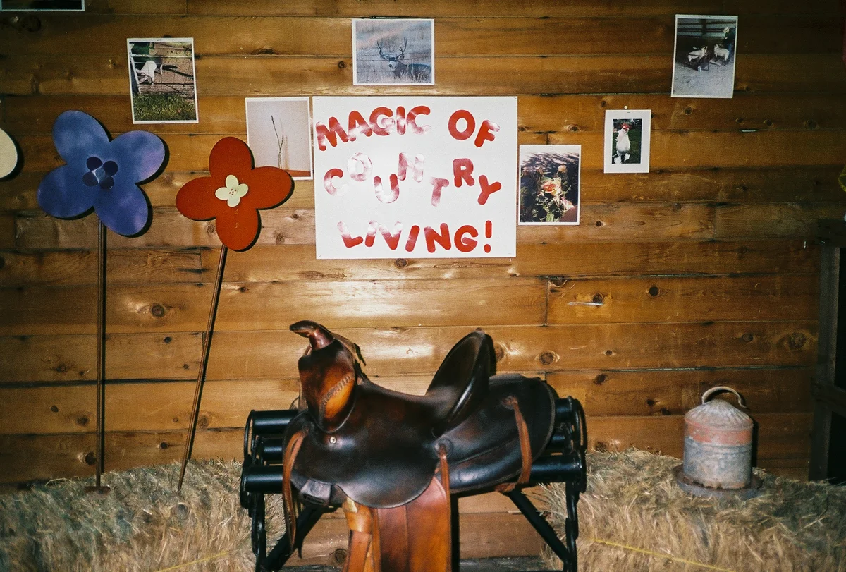 feather_river_150805_017.jpg