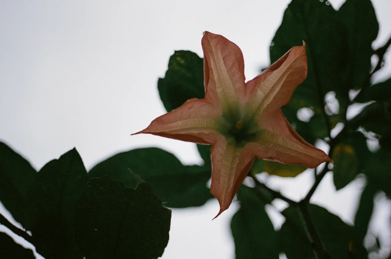 colombia_2012_017.jpg