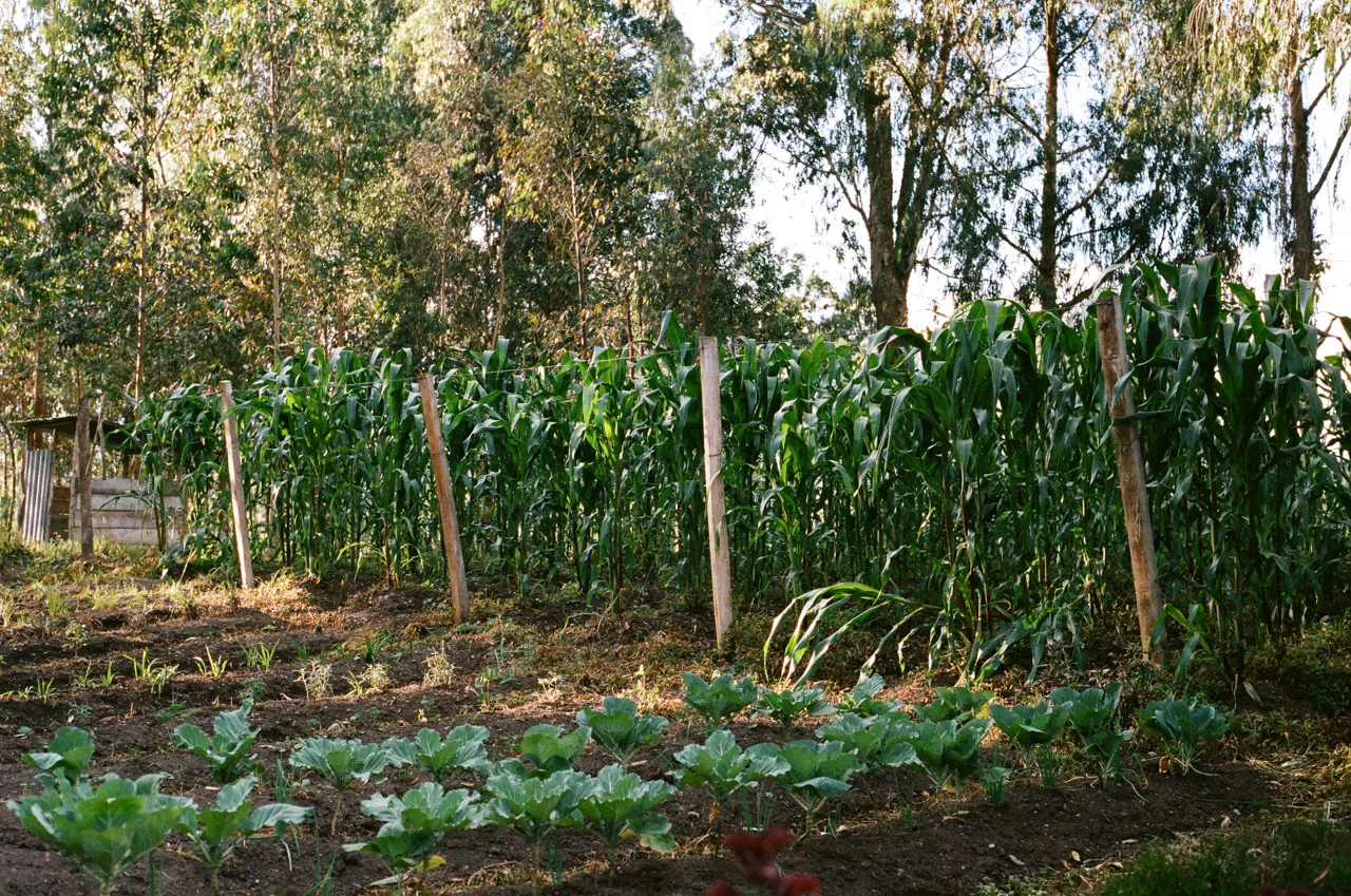colombia_2012_032.jpg