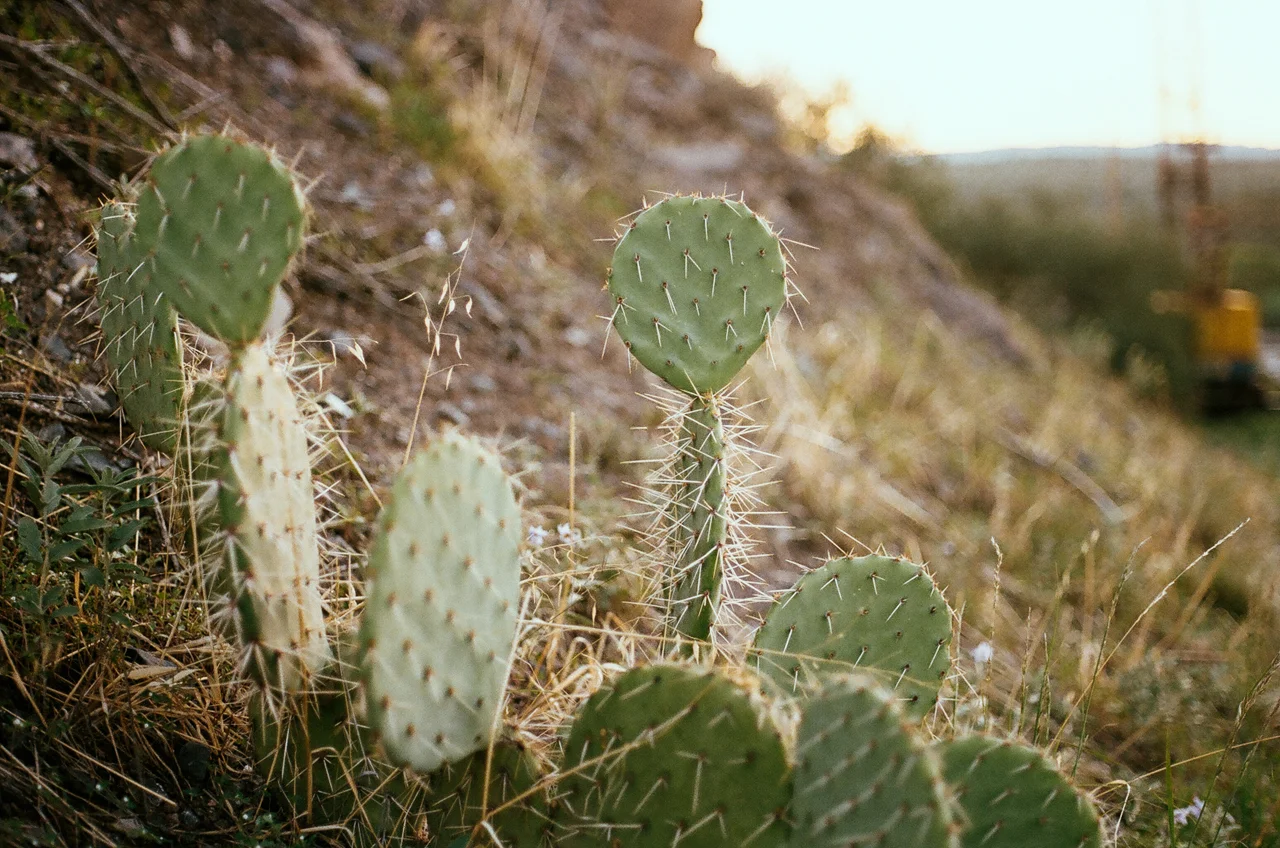arcosanti_2016_002.jpg