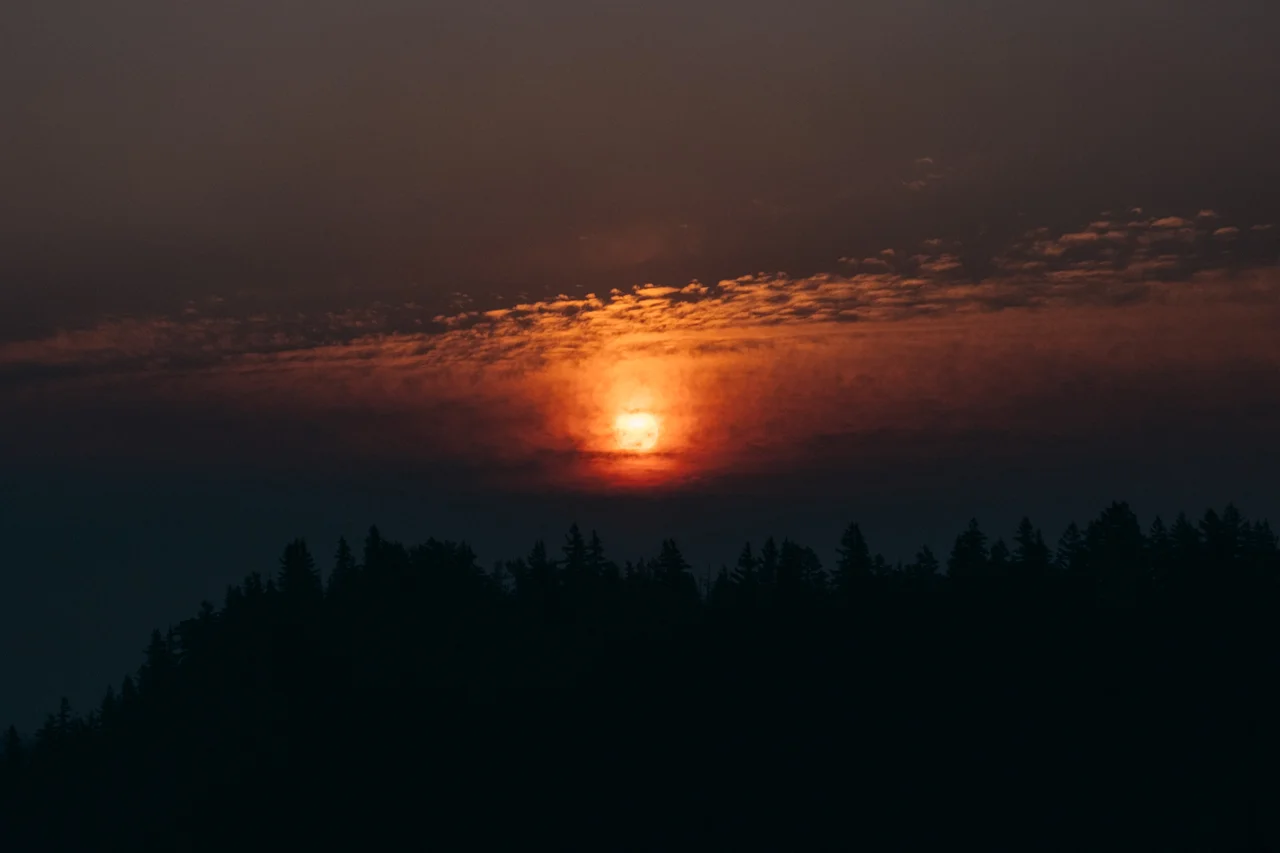 DSCF0499.jpg