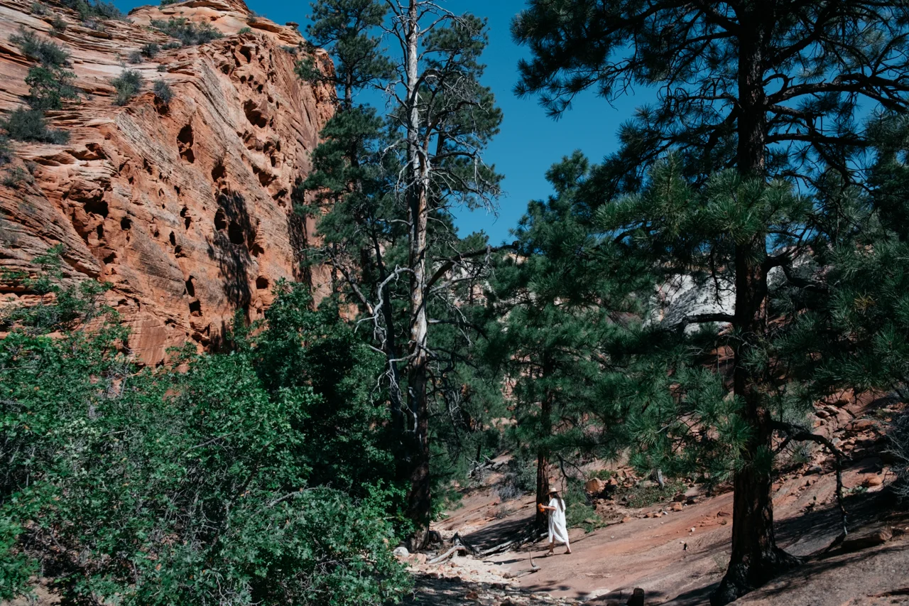 DSCF0677.jpg