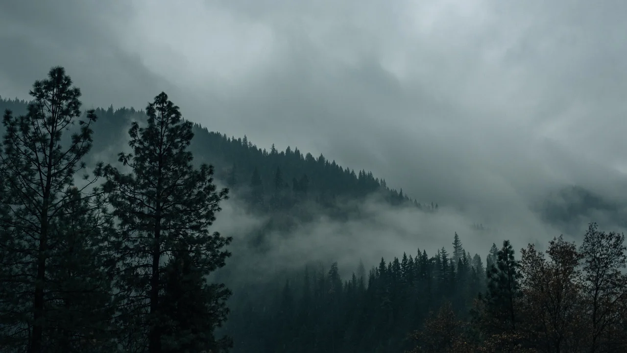 DSCF4375.jpg