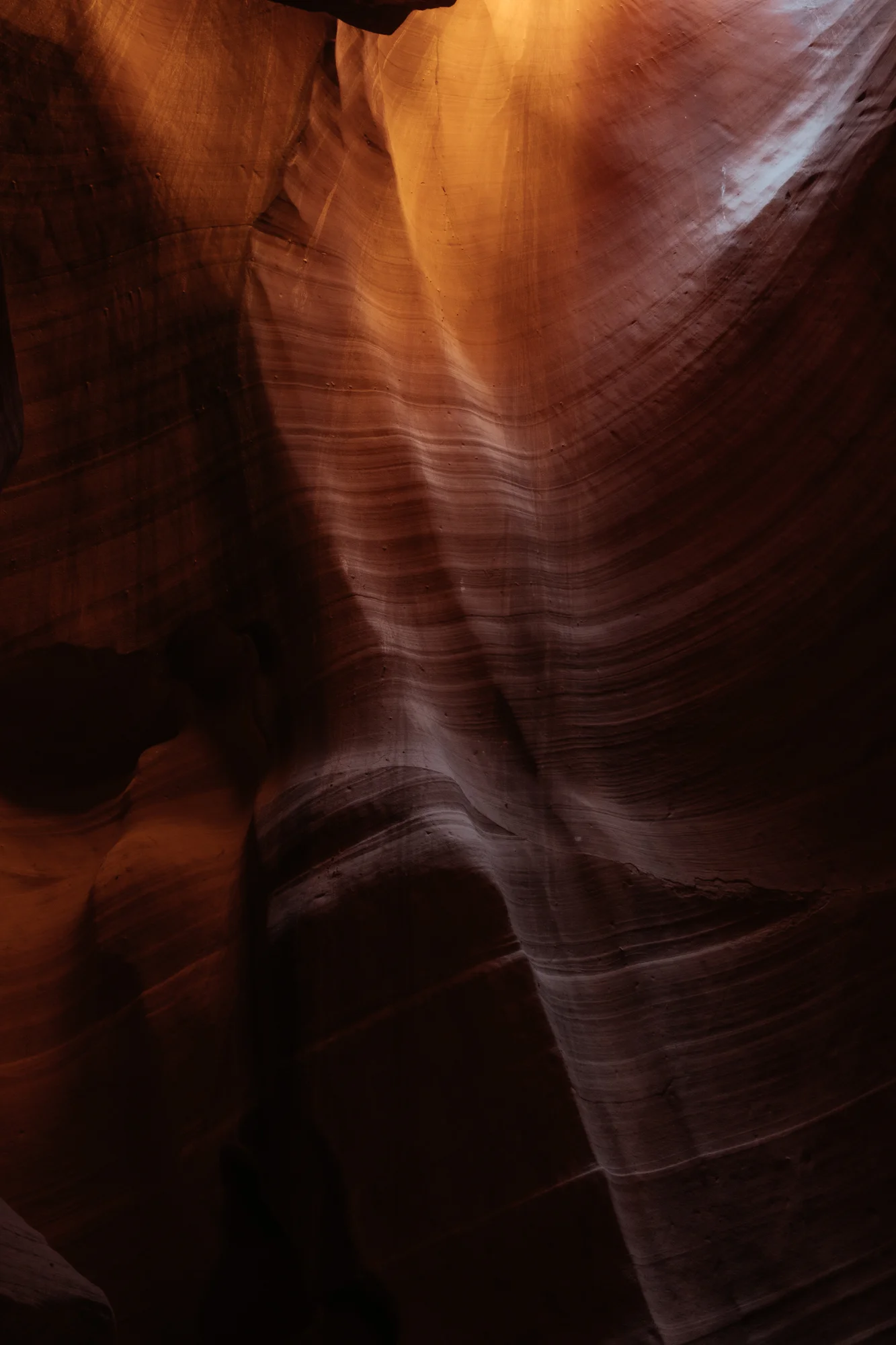 DSCF5190.jpg