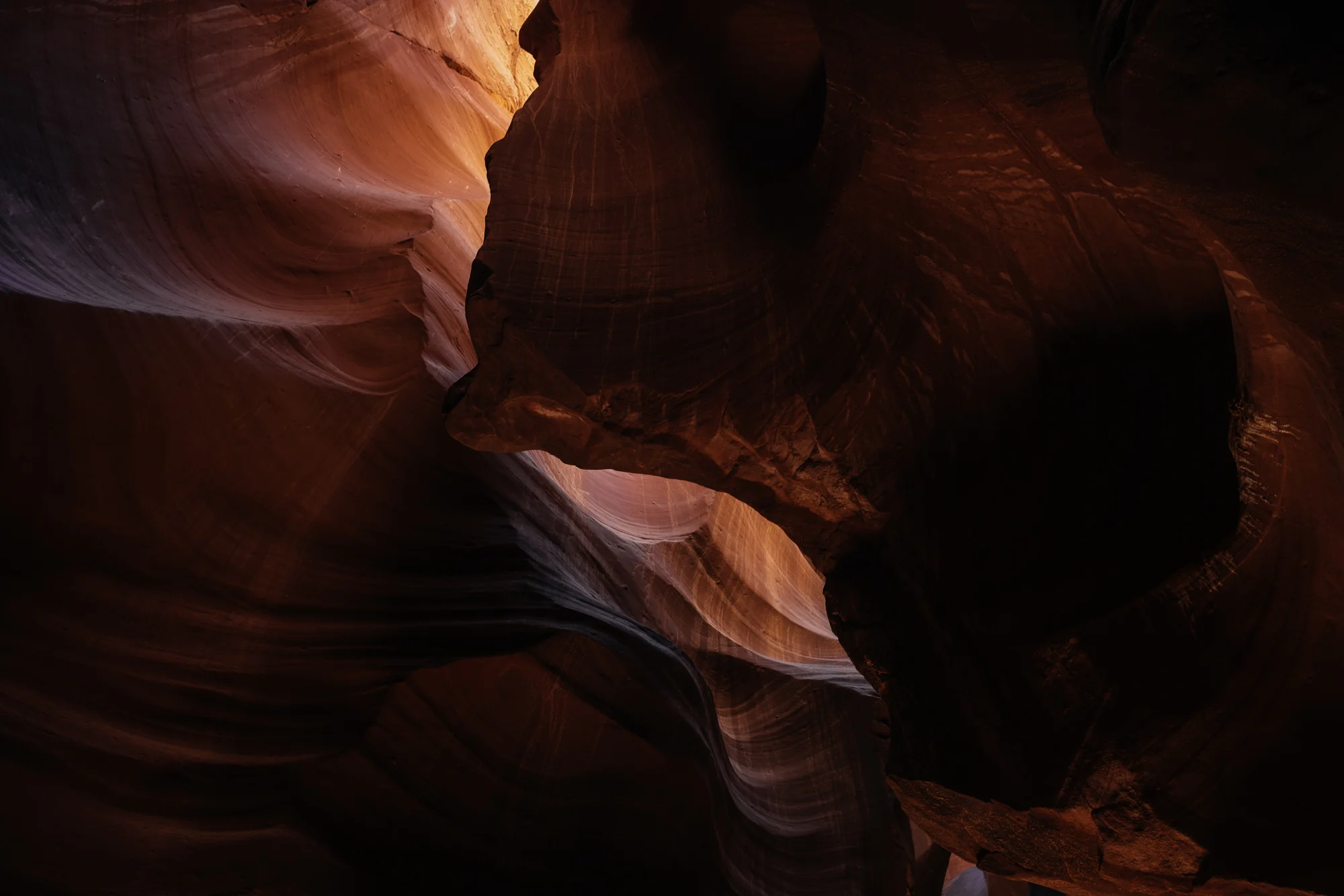 DSCF5313.jpg