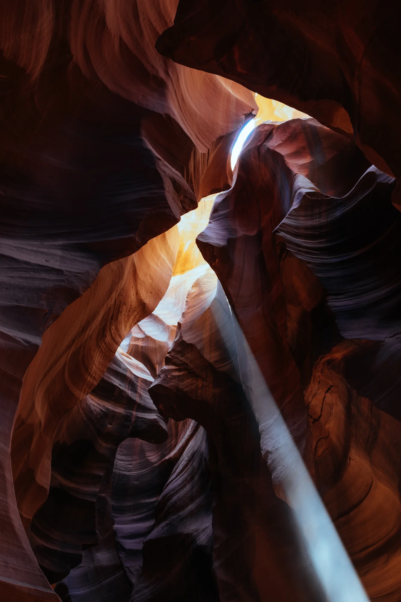 DSCF5239.jpg