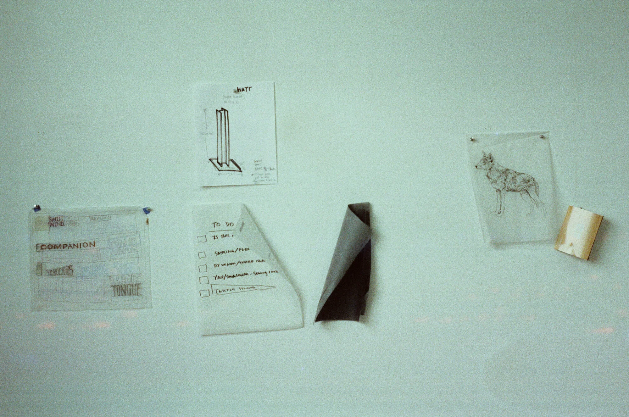 LPxMW-000002380006.jpg