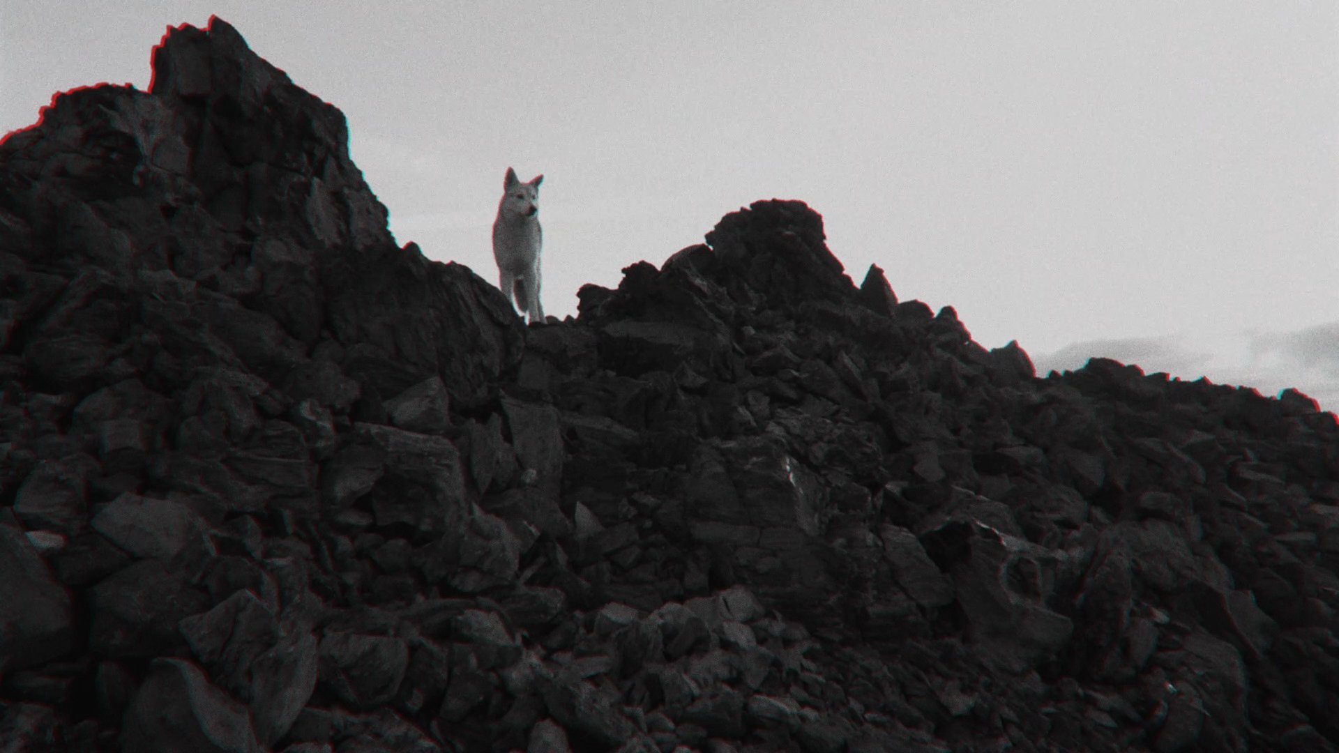 3_01264.jpg