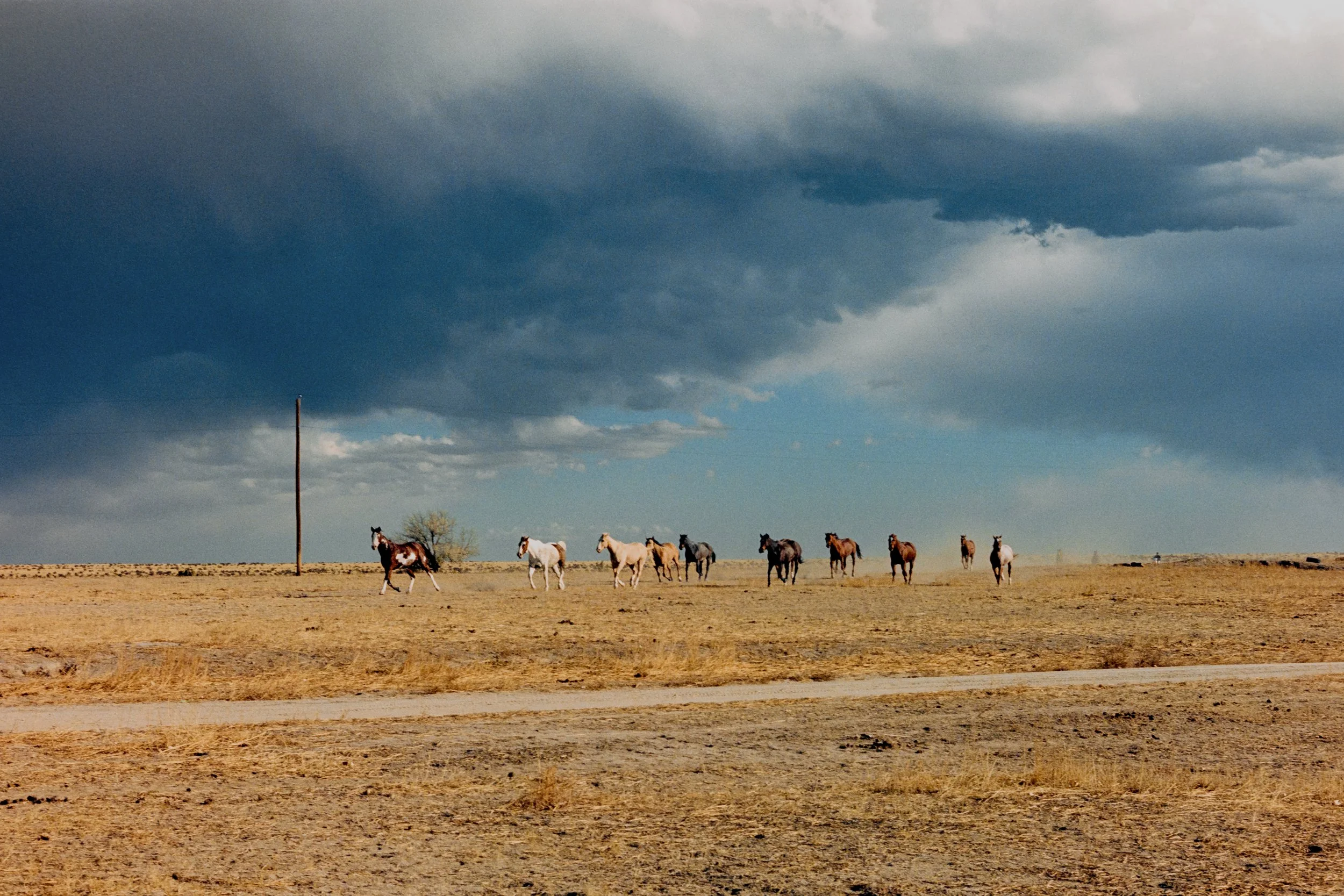 06_Portra400-7308962-positive.jpg
