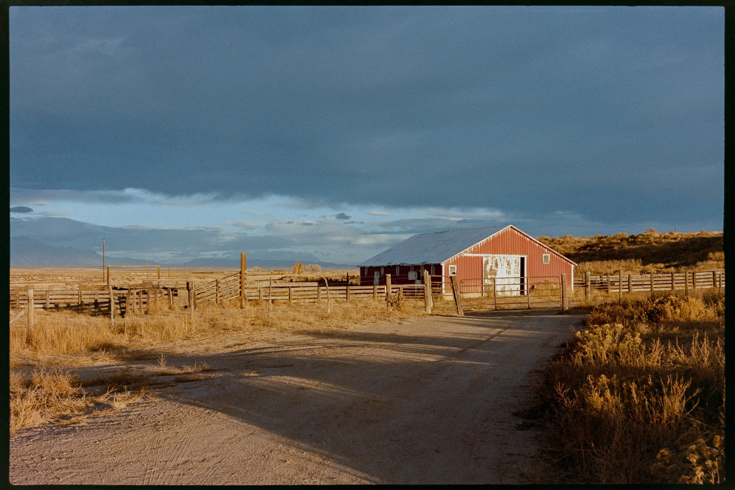 09_Portra400-7309175-positive.jpg