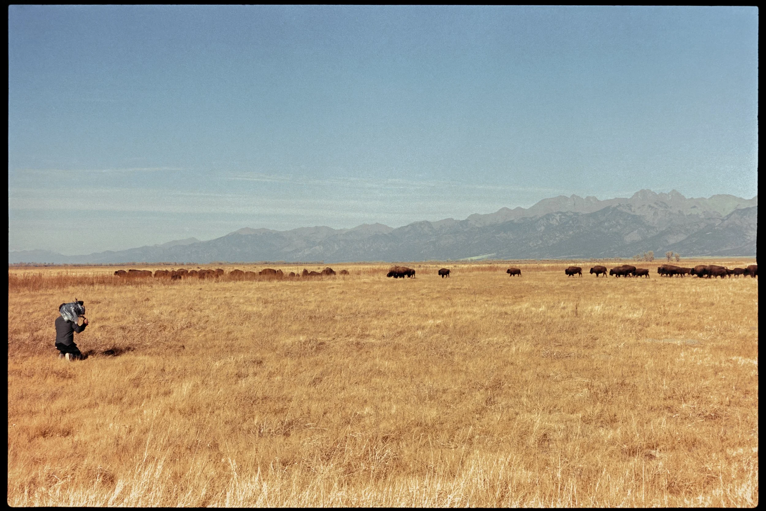 03_Portra400-7308857-positive-4.jpg