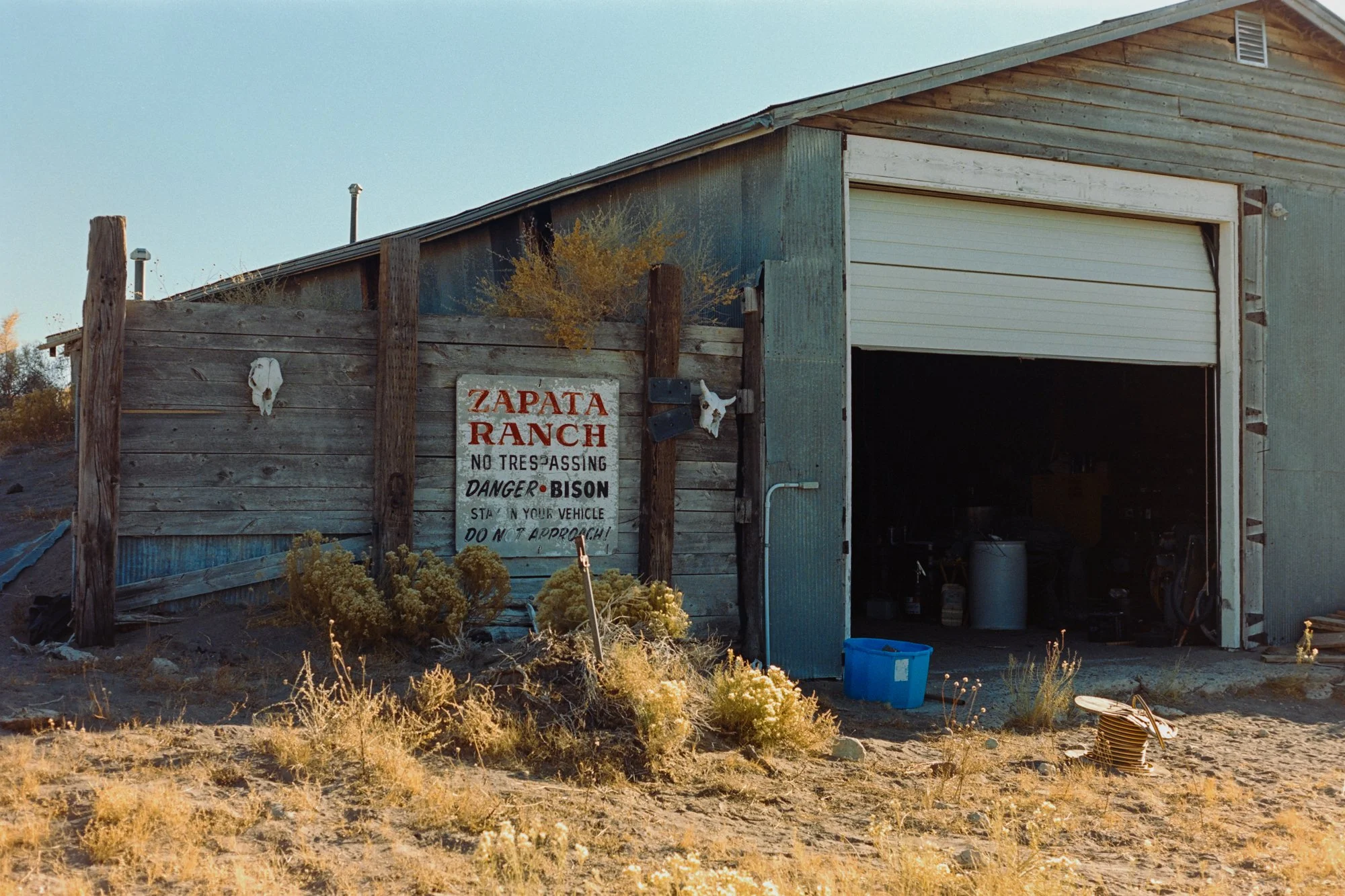 02_Portra400-7308827-positive.jpg